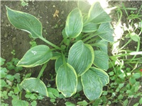 1a72e582-Picture 021.jpg